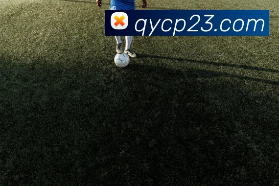 奖项2
